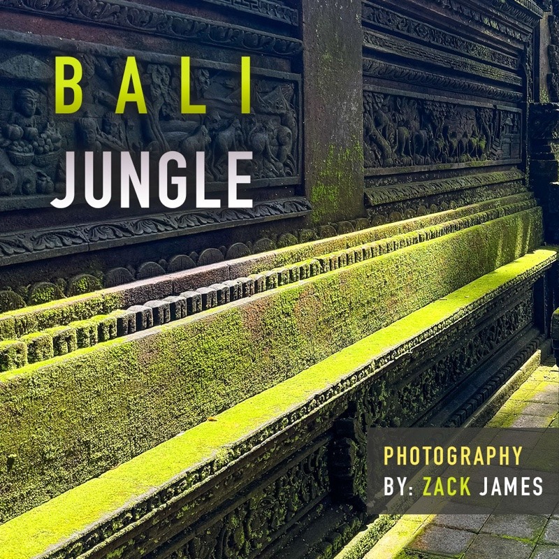 Bali Jungle